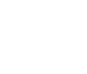 CDG Express